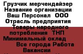 Грузчик-мерчендайзер › Название организации ­ Ваш Персонал, ООО › Отрасль предприятия ­ Товары народного потребления (ТНП) › Минимальный оклад ­ 18 000 - Все города Работа » Вакансии   . Курганская обл.,Курган г.